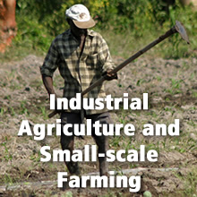 Topics - Industrial Agriculture and Small-scale Farming