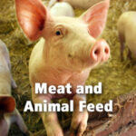 Topics - Meat and Animal Feed