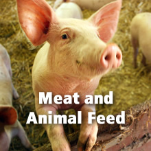 Topics - Meat and Animal Feed