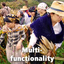 Topics - Multi-functionality