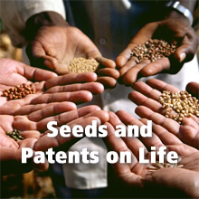 Topics - Seeds and Patents on Life